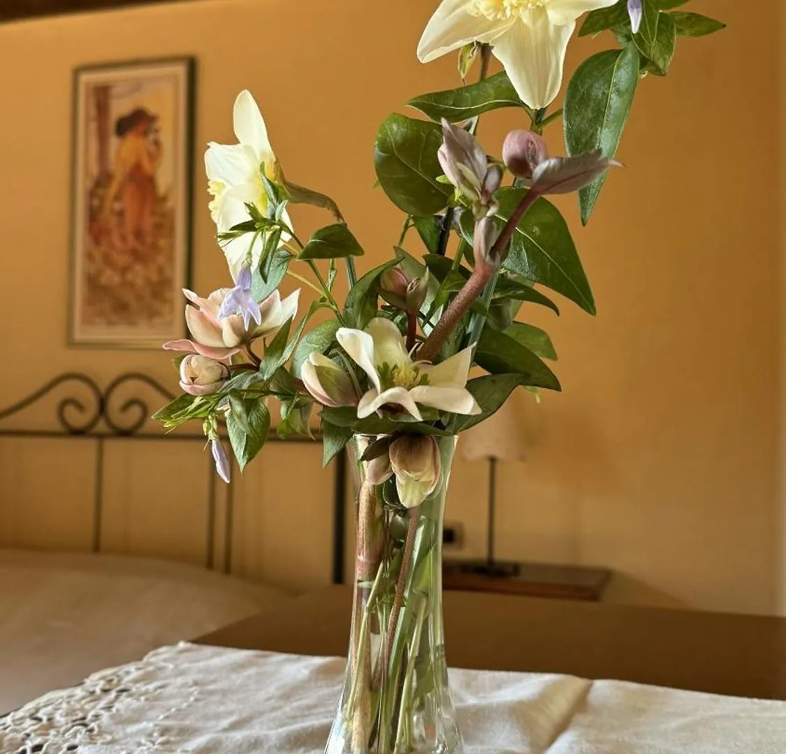 Agriturismo Soiano Famiglia Rolfini Montaione Farm stay
