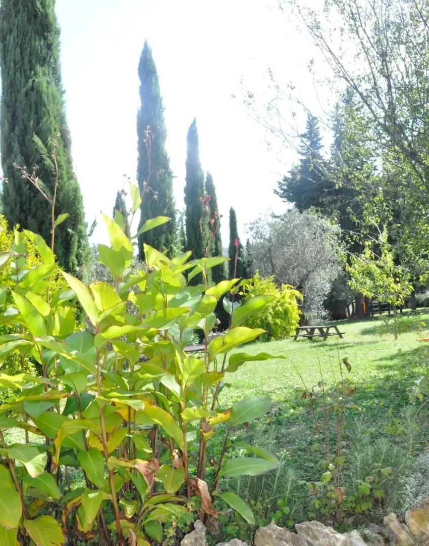 Agriturismo Soiano Famiglia Rolfini Montaione Italy